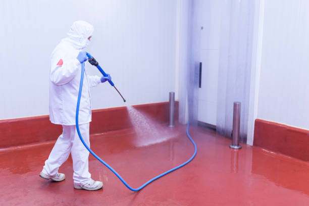 Professional Pressure Washing Services in Cynthiana, KY